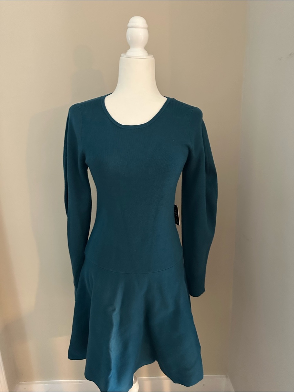 Express Teal Long-Sleeve Fit & Flare Dress